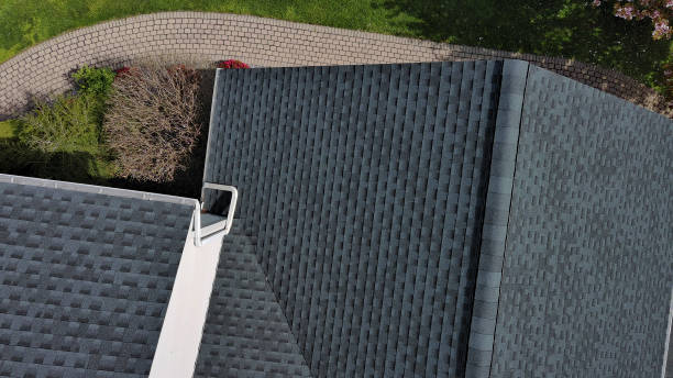 Best Flat Roofing  in Vamo, FL